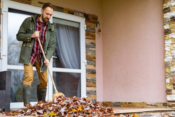 Best Furniture Removal Near Me  in Gibbon, NE